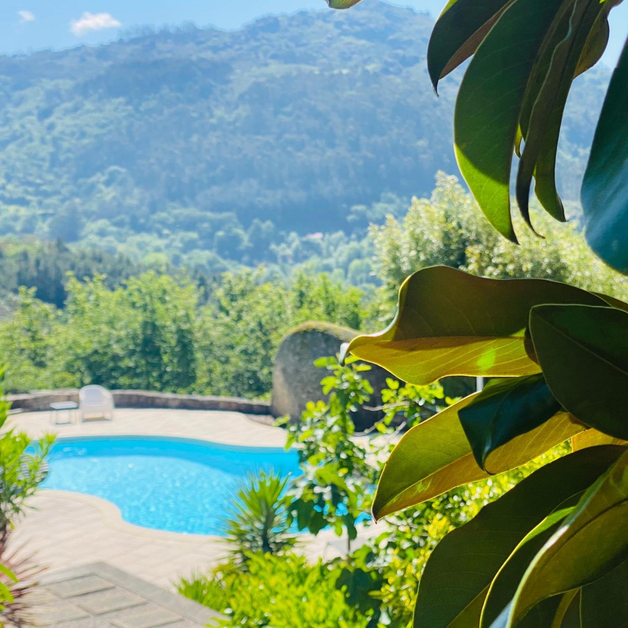 Villa Quinta Cercas Da Costa Vieira do Minho Exterior foto