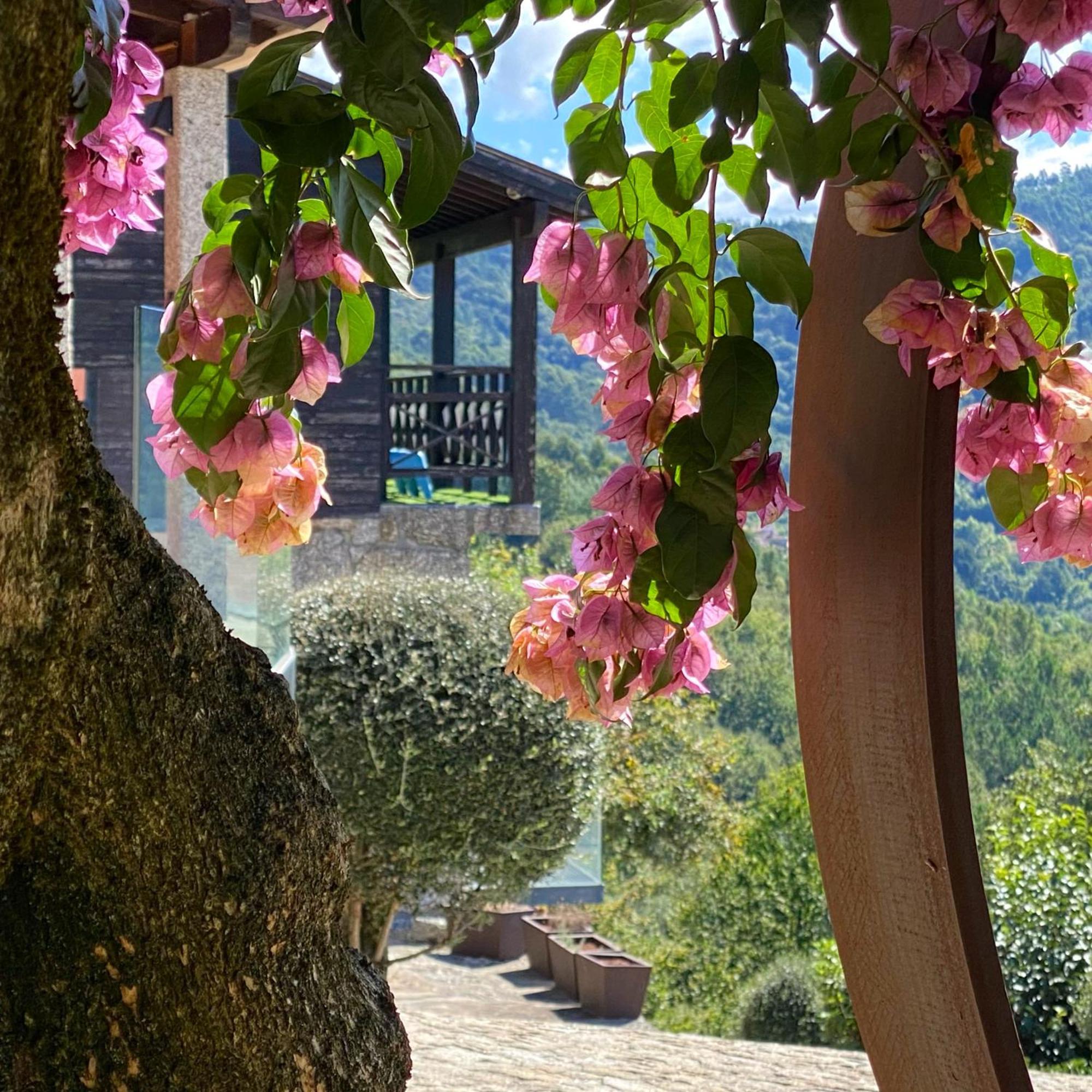 Villa Quinta Cercas Da Costa Vieira do Minho Exterior foto