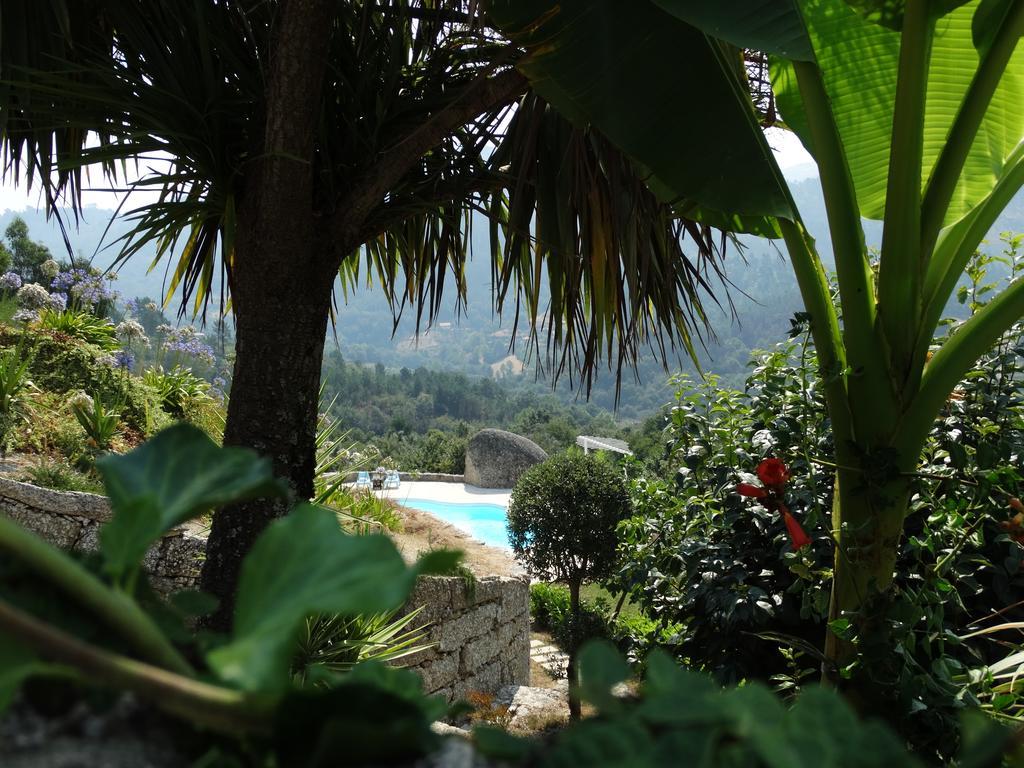 Villa Quinta Cercas Da Costa Vieira do Minho Zimmer foto
